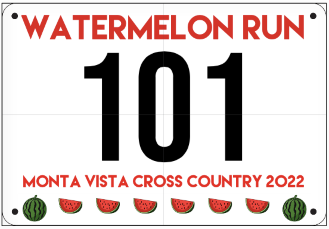 Bibs Watermelon 2022