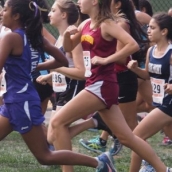 Banner Artichoke start