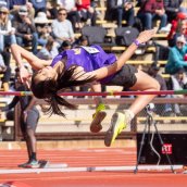 53623888021_ee2b71f698_o