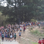 The Monta Vista Cross Country Team Wants YOU in 2025!